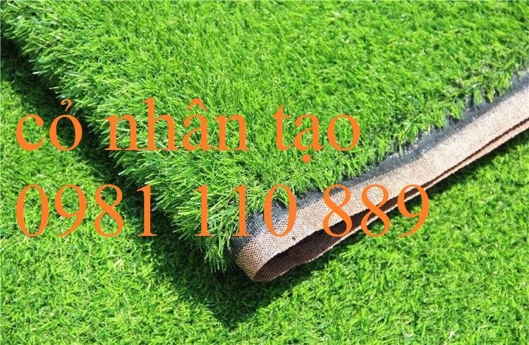 Cỏ nhân tạo, cỏ trang trí, cỏ nhựa IMG bền, đẹp