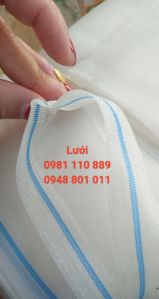 Lưới chắn côn trùng có những loại nào? chất liệu ra sao?